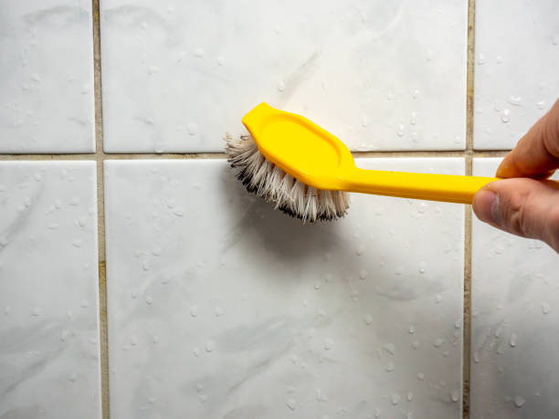 Reliable Egan, LA Mold Removal Solutions