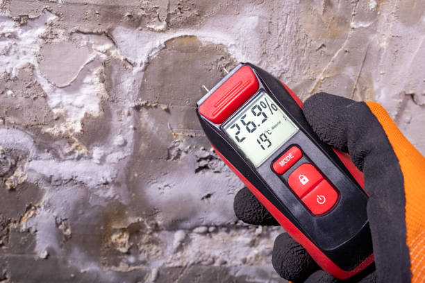 Best Residential Mold Removal  in Egan, LA