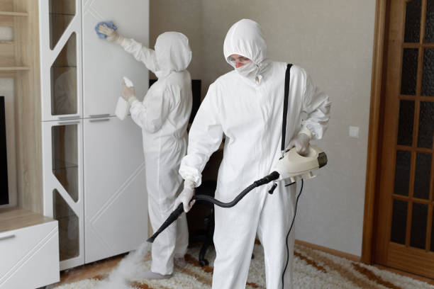 Best Mold Damage Repair  in Egan, LA
