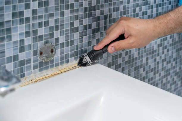 Best Attic Mold Removal  in Egan, LA