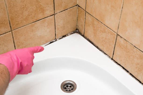 Best Mold Testing  in Egan, LA
